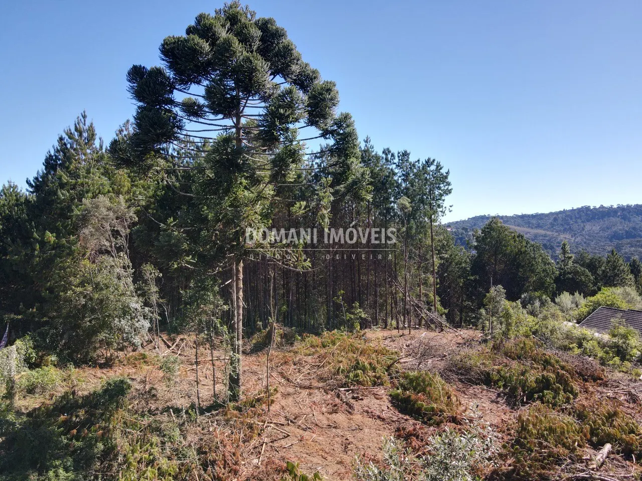 Terreno à venda de 2.540 m² em Campos do Jordão, SP, Brasil