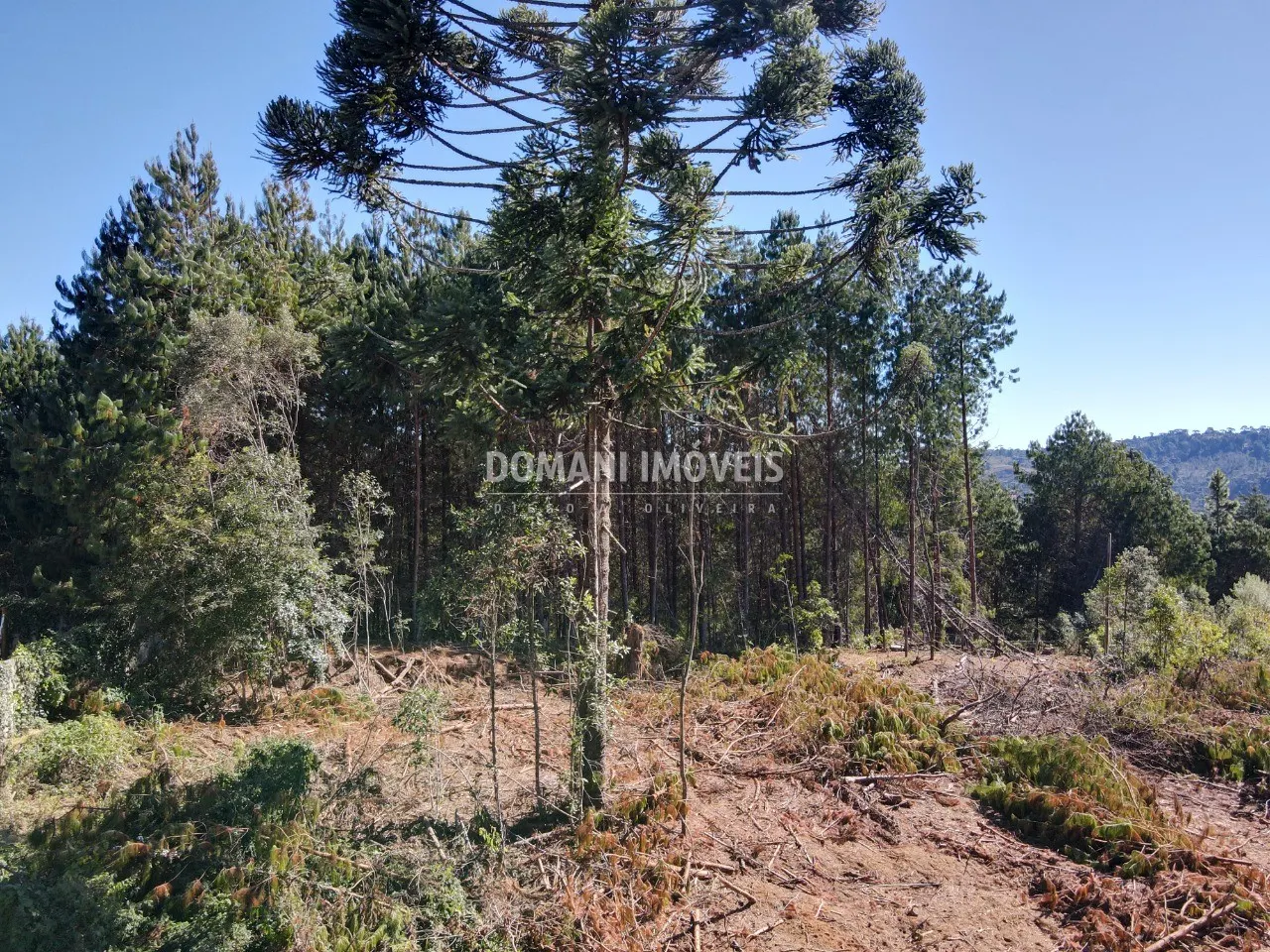 Terreno à venda de 2.540 m² em Campos do Jordão, SP, Brasil