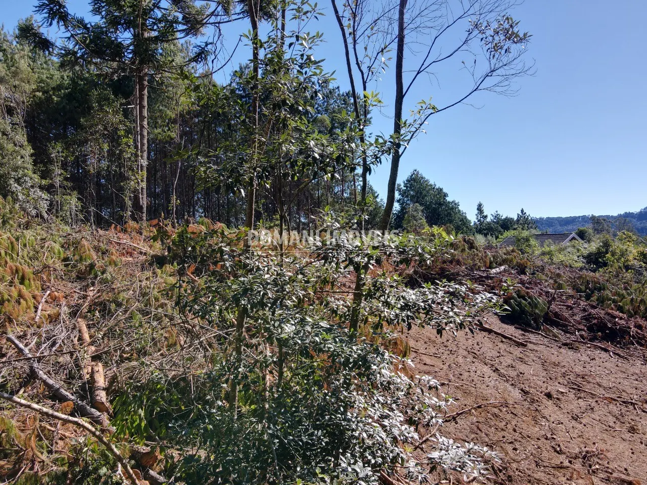 Terreno à venda de 2.540 m² em Campos do Jordão, SP, Brasil