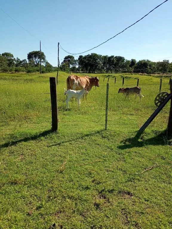 Chácara à venda de 6 ha em Cuiabá, MT, Brasil