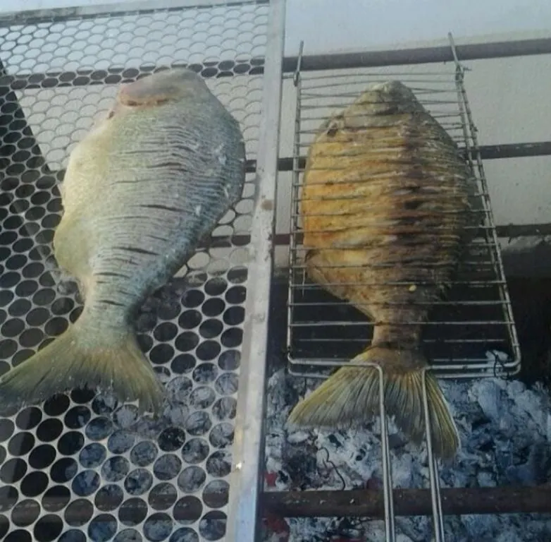 Chácara à venda de 6 ha em Cuiabá, MT, Brasil
