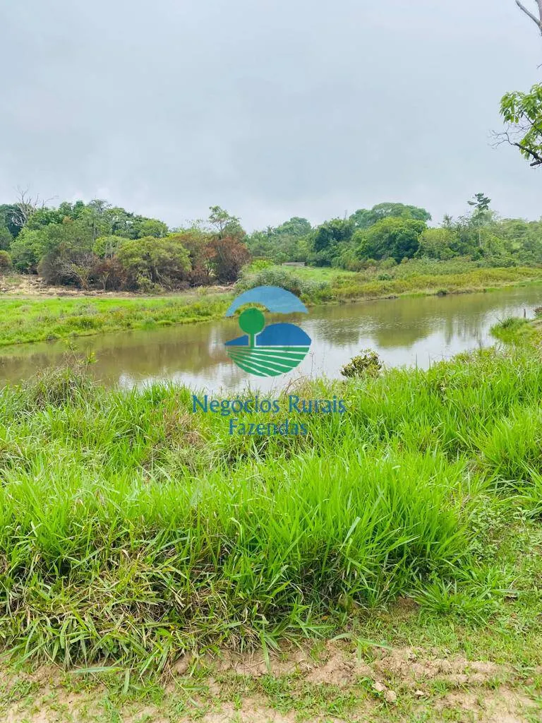 Fazenda à venda de 193 ha em Cocalzinho de Goiás, GO, Brasil
