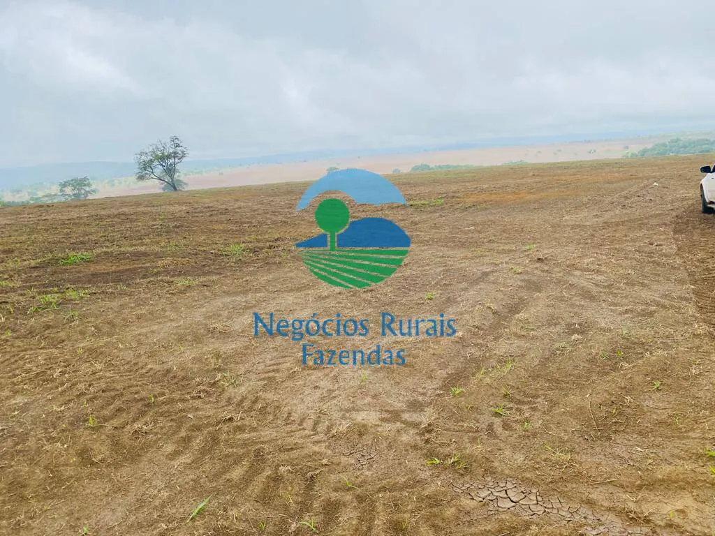 Fazenda à venda de 193 ha em Cocalzinho de Goiás, GO, Brasil