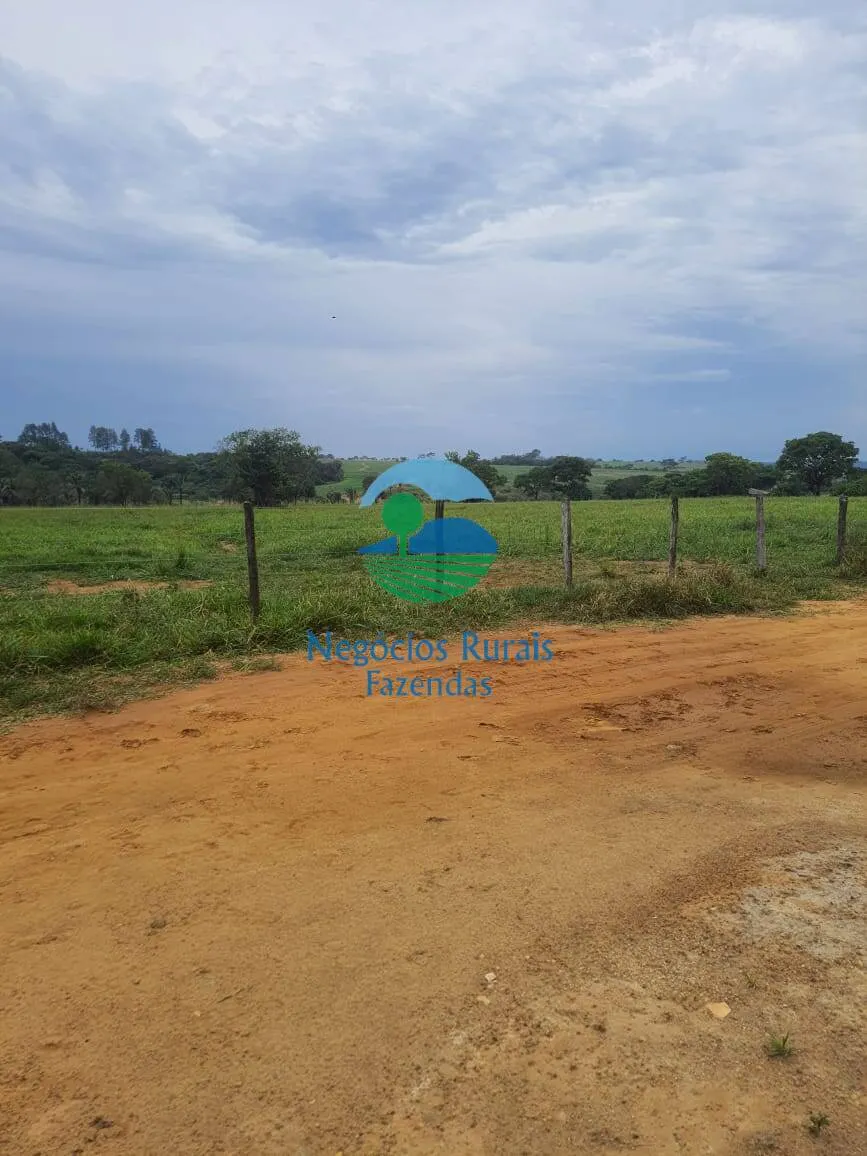 Fazenda à venda de 193 ha em Cocalzinho de Goiás, GO, Brasil