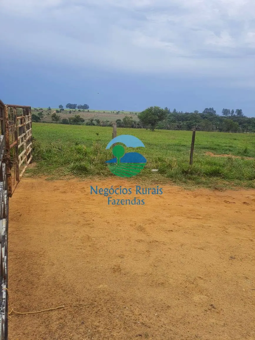 Fazenda à venda de 193 ha em Cocalzinho de Goiás, GO, Brasil