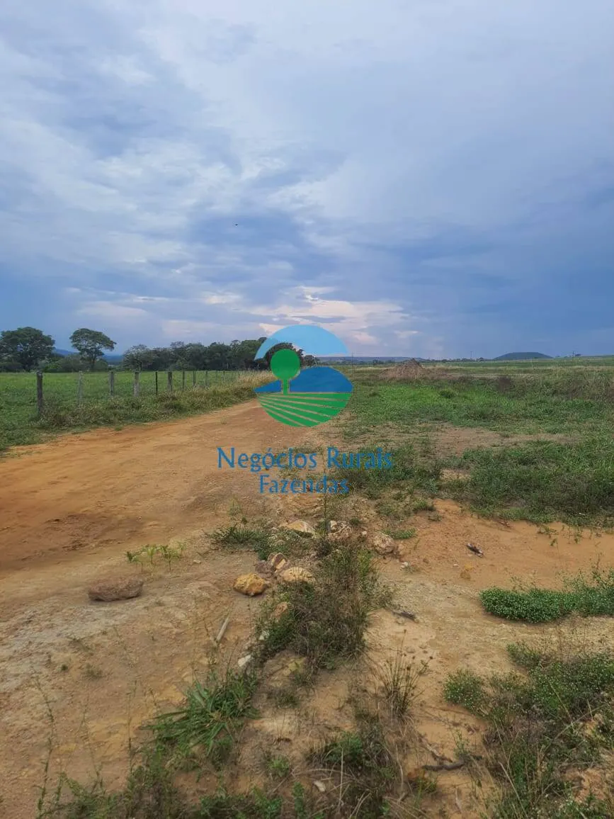 Fazenda à venda de 193 ha em Cocalzinho de Goiás, GO, Brasil