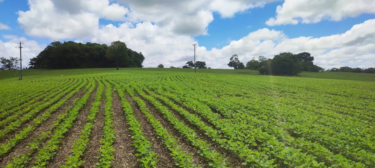 Fazenda à venda de 60 ha em Itararé, SP, Brasil