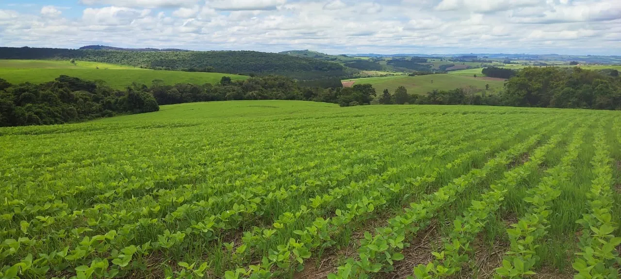 Fazenda à venda de 60 ha em Itararé, SP, Brasil