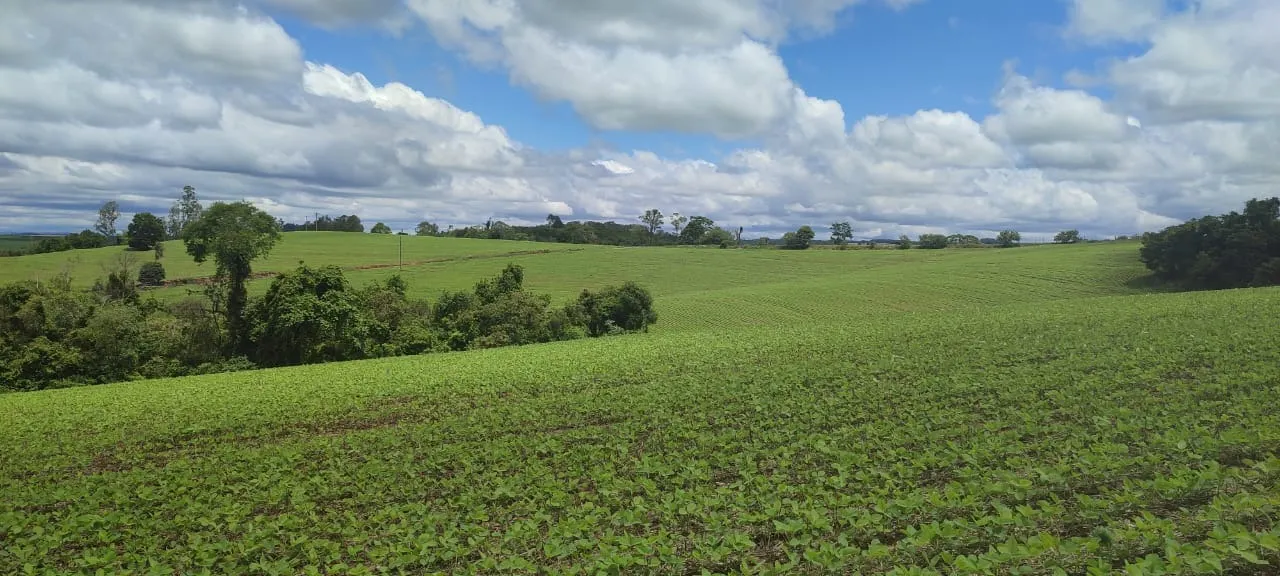 Fazenda à venda de 60 ha em Itararé, SP, Brasil