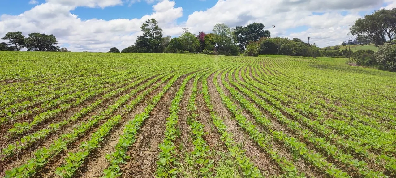 Fazenda à venda de 60 ha em Itararé, SP, Brasil