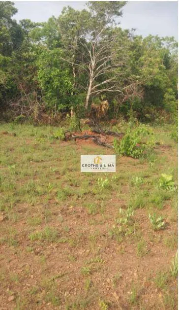 Fazenda à venda de 1.137 ha em Araguacema, TO, Brasil