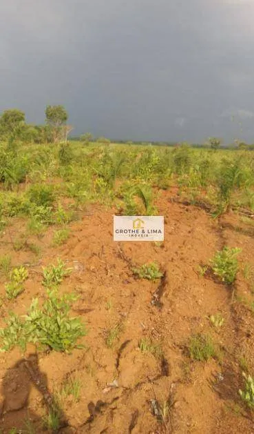 Fazenda à venda de 1.137 ha em Araguacema, TO, Brasil
