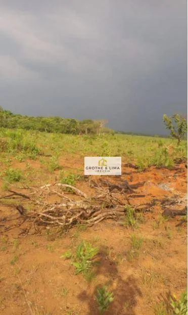 Fazenda à venda de 1.137 ha em Araguacema, TO, Brasil