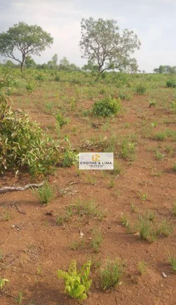 Fazenda à venda de 1.137 ha em Araguacema, TO, Brasil