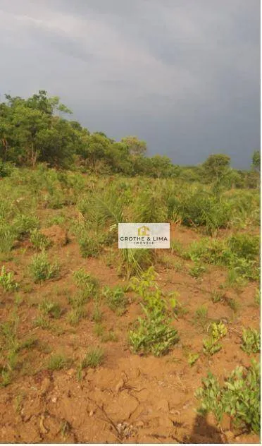 Fazenda à venda de 1.137 ha em Araguacema, TO, Brasil
