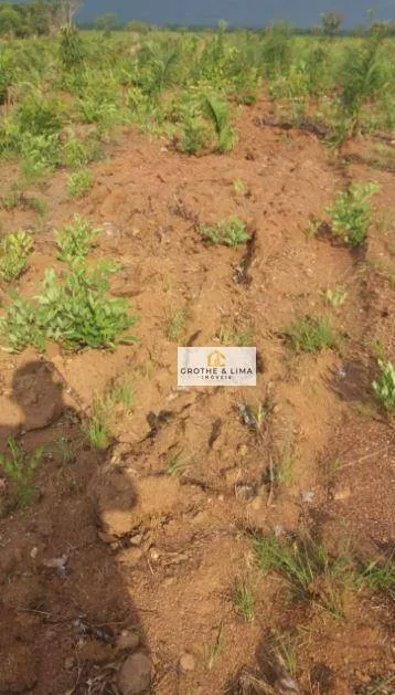 Fazenda à venda de 1.137 ha em Araguacema, TO, Brasil
