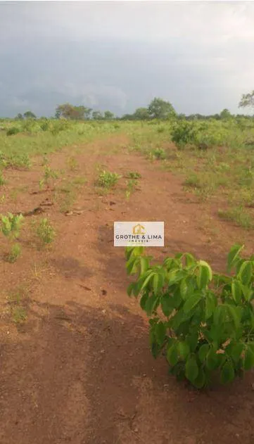 Fazenda à venda de 1.137 ha em Araguacema, TO, Brasil