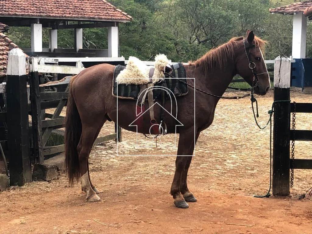 Fazenda à venda de 1.067 ha em Santa Branca, SP, Brasil