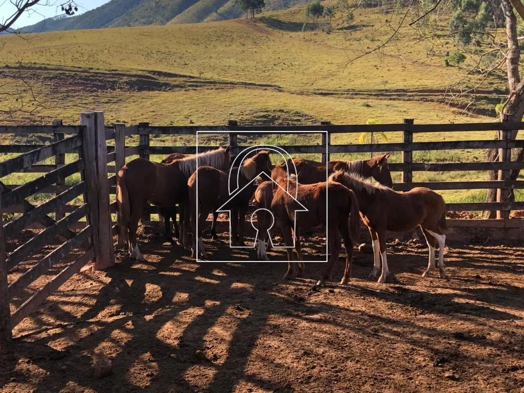 Fazenda à venda de 1.067 ha em Santa Branca, SP, Brasil