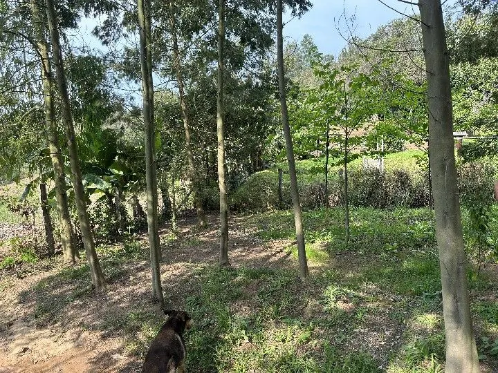 Country home for sale of 1 acres in Taquara, RS, Brazil
