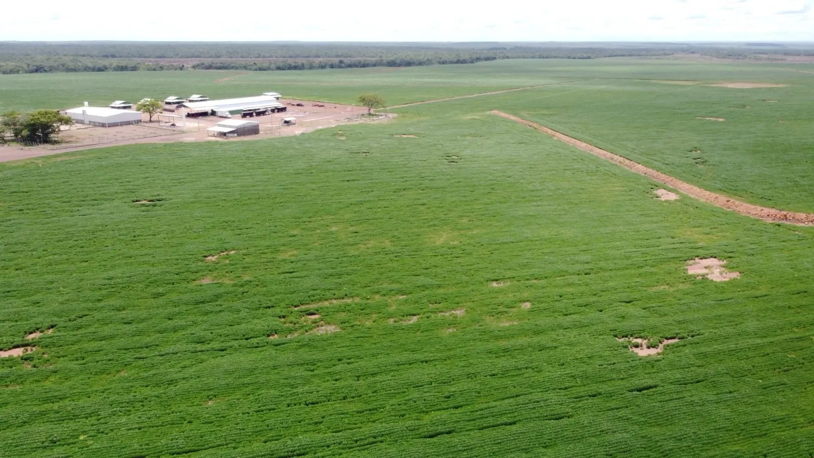 Fazenda à venda de 4.356 ha em Pedro Afonso, TO, Brasil
