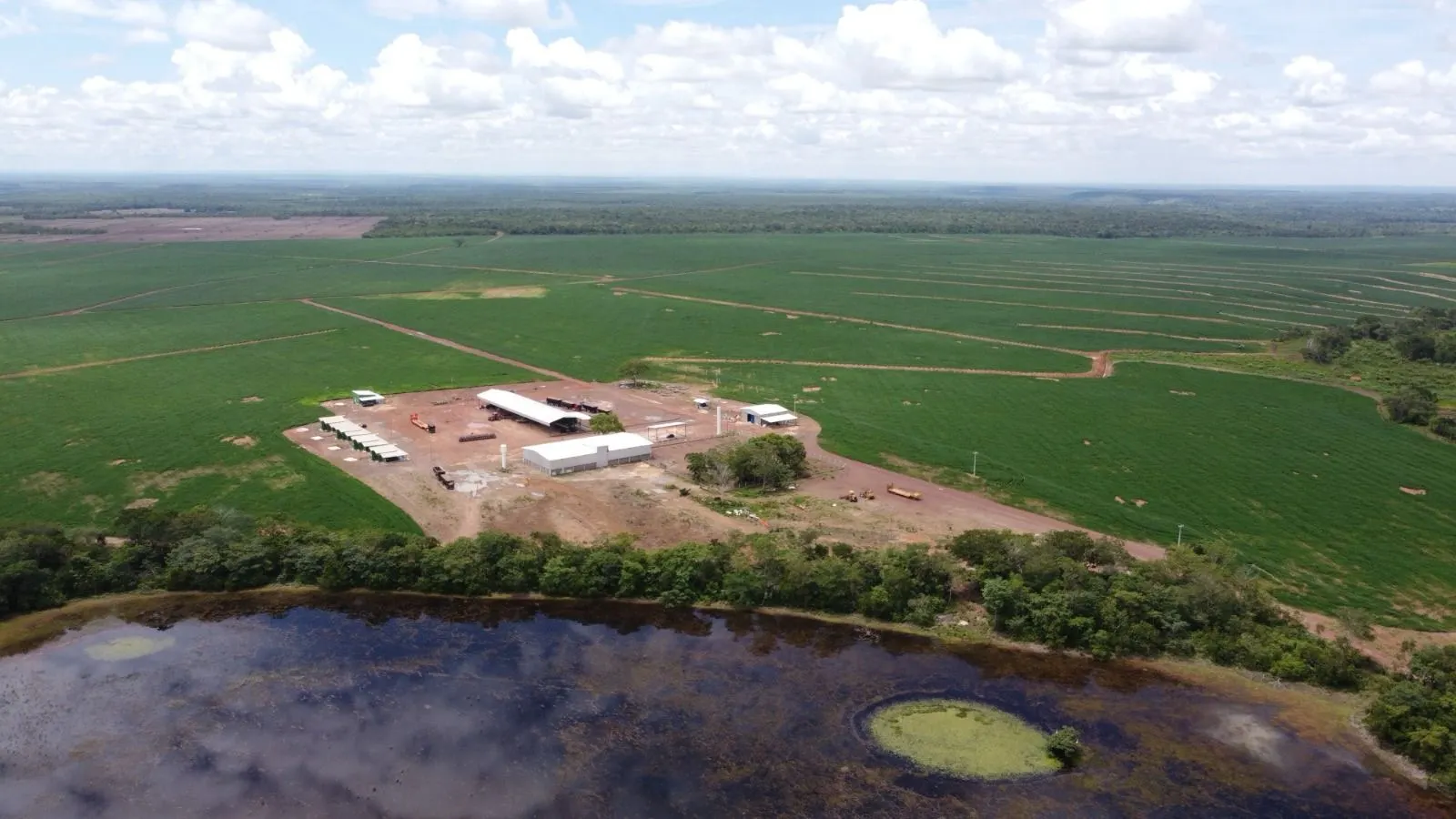 Fazenda à venda de 4.356 ha em Pedro Afonso, TO, Brasil