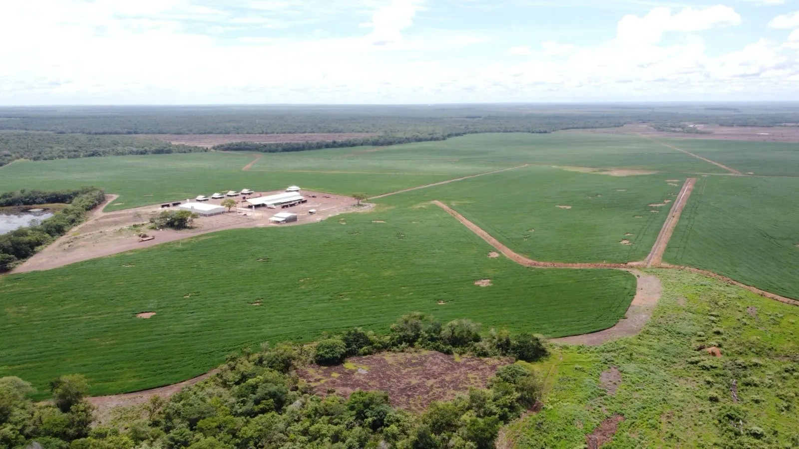 Fazenda à venda de 4.356 ha em Pedro Afonso, TO, Brasil