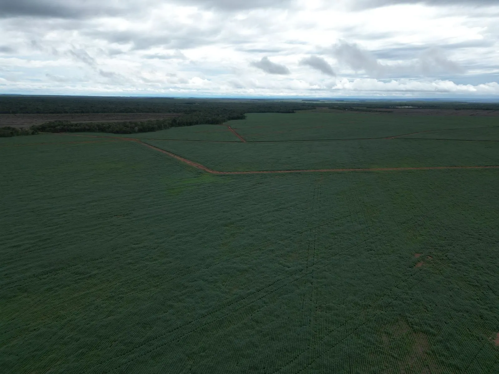Fazenda à venda de 4.356 ha em Pedro Afonso, TO, Brasil