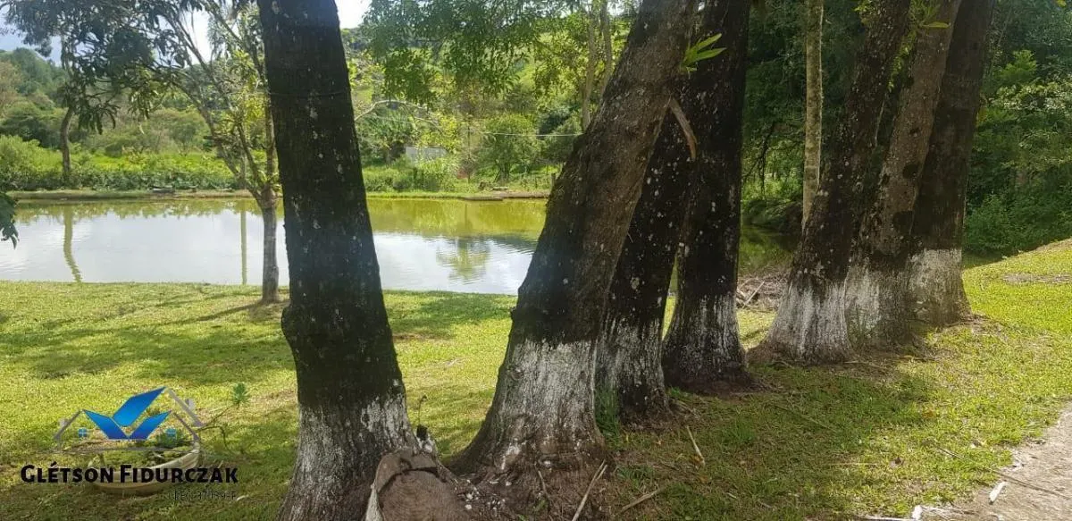Sítio à venda de 4 ha em Joanópolis, SP, Brasil
