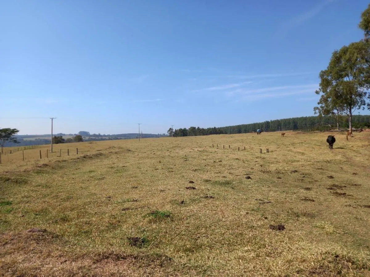 Fazenda à venda de 76 ha em Marília, SP, Brasil