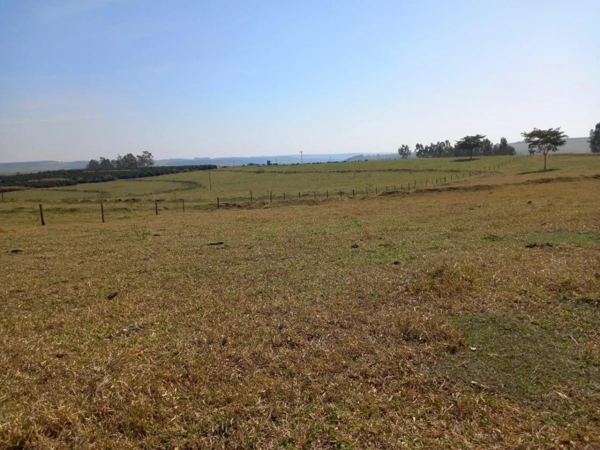 Fazenda à venda de 76 ha em Marília, SP, Brasil