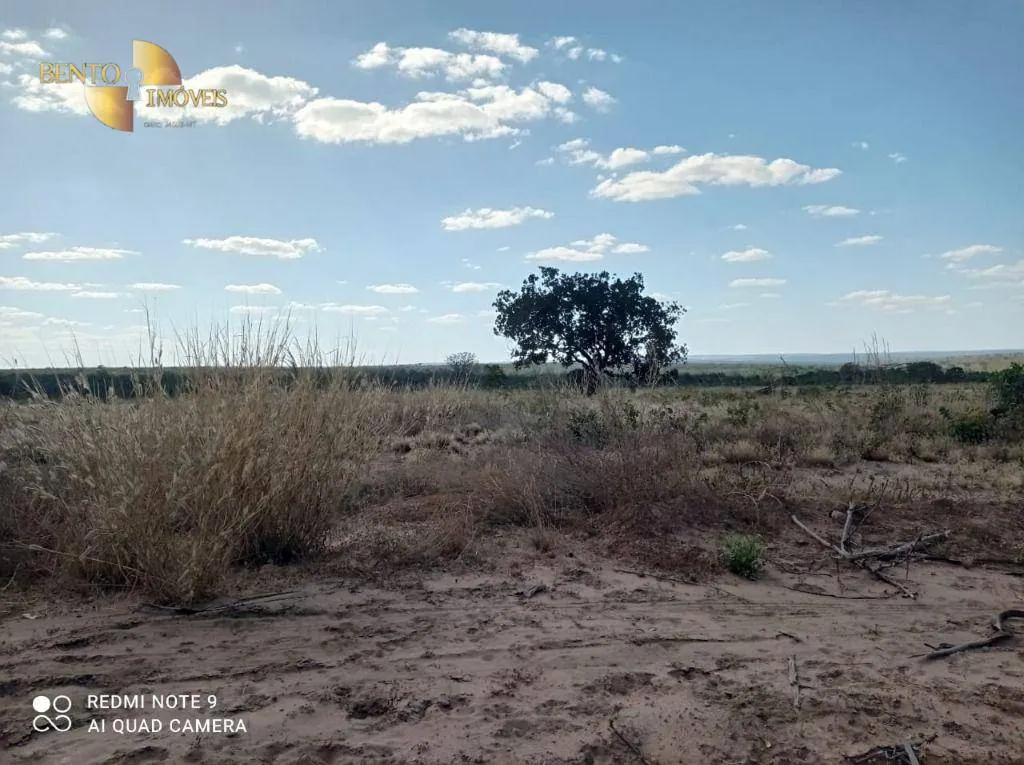 Fazenda à venda de 5.000 ha em Primavera do Leste, MT, Brasil