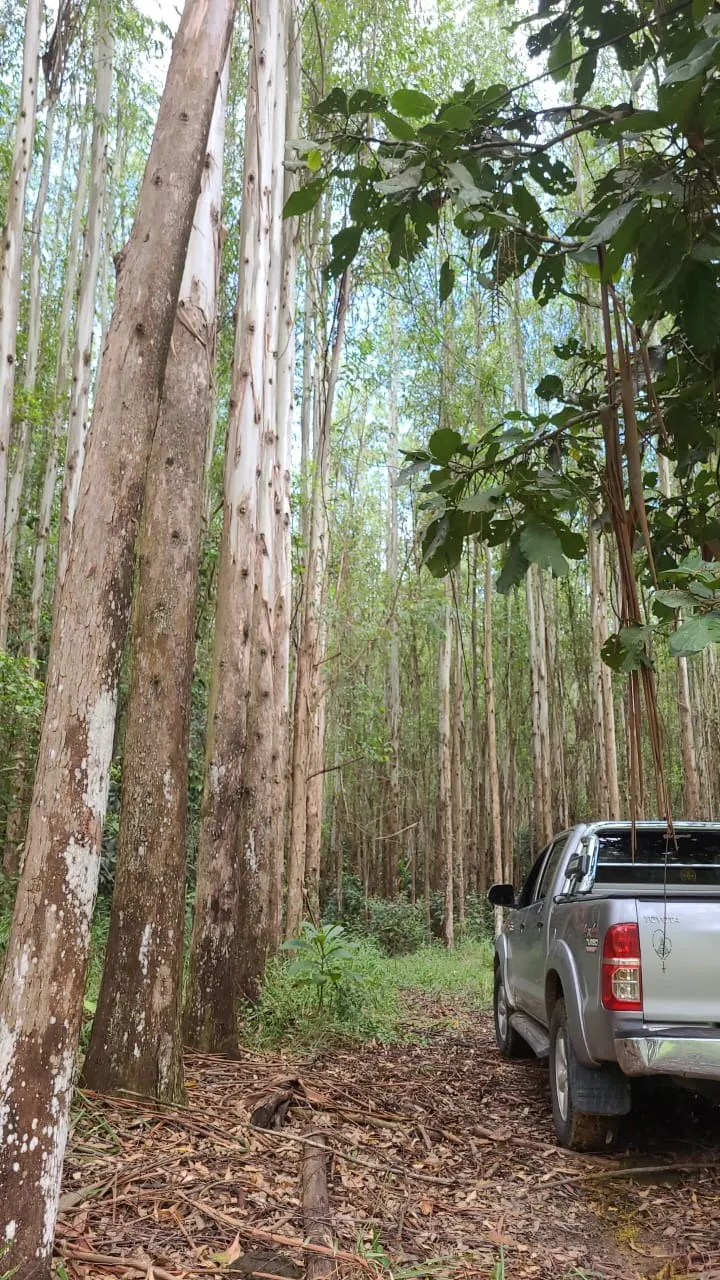 Fazenda à venda de 585 ha em Guaratinguetá, SP, Brasil
