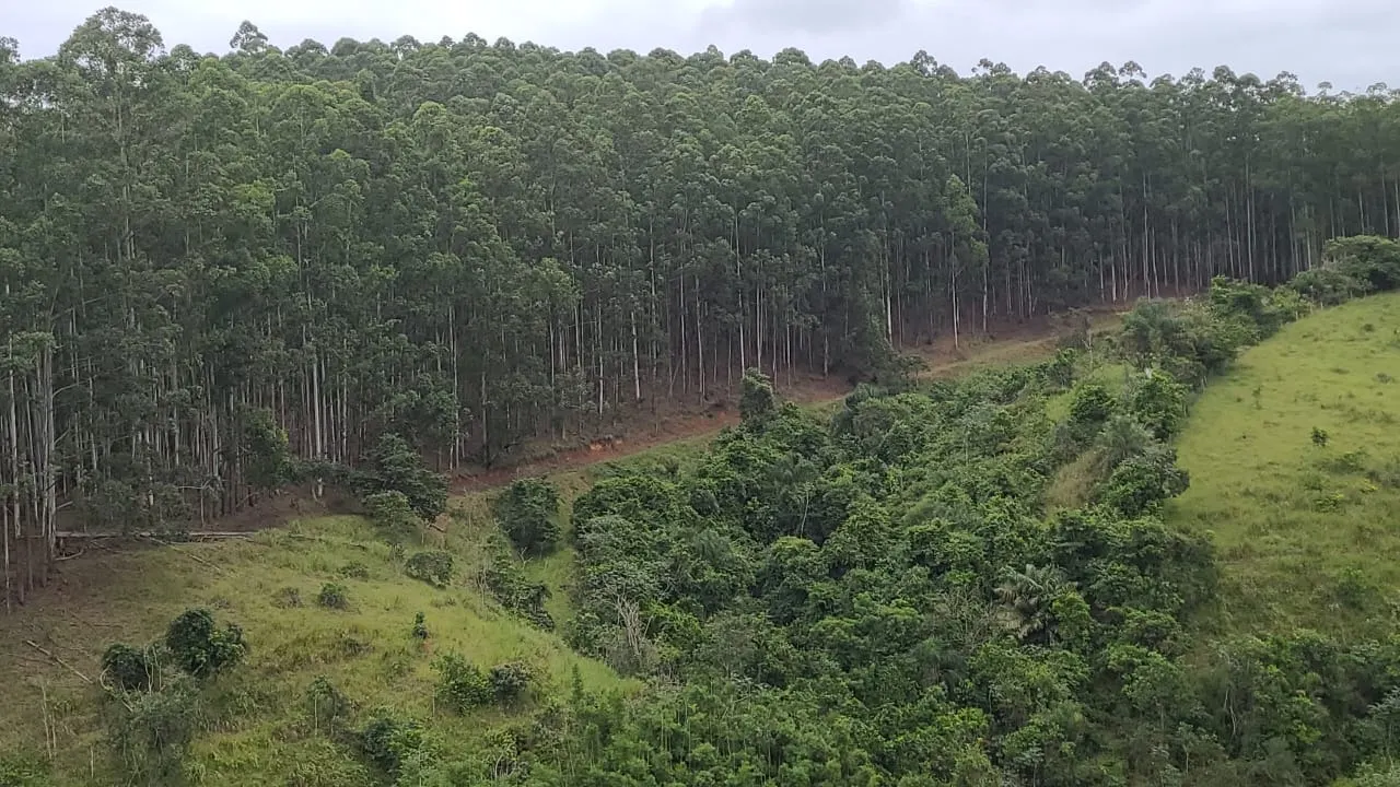 Fazenda à venda de 585 ha em Guaratinguetá, SP, Brasil