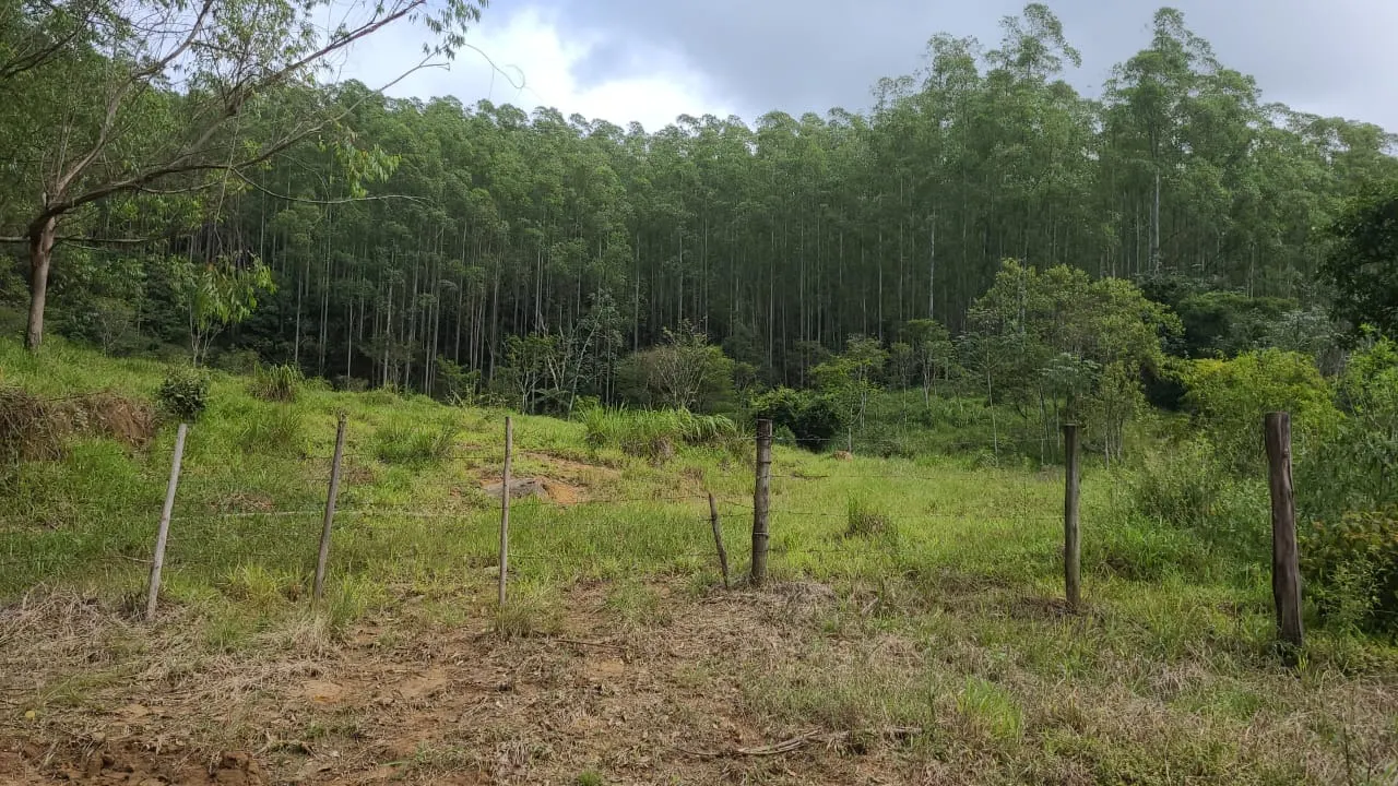 Fazenda à venda de 585 ha em Guaratinguetá, SP, Brasil
