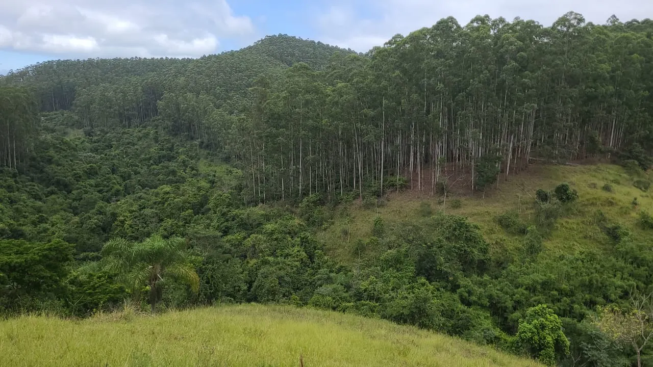 Fazenda à venda de 585 ha em Guaratinguetá, SP, Brasil