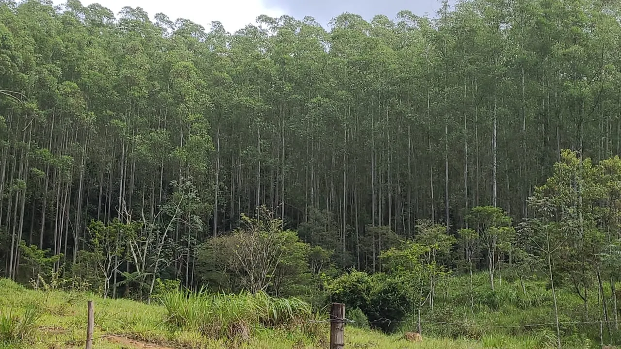 Fazenda à venda de 585 ha em Guaratinguetá, SP, Brasil