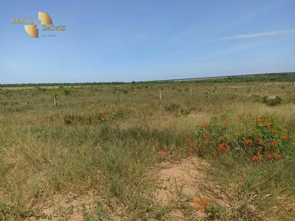 Fazenda à venda de 2.600 ha em Paranatinga, MT, Brasil