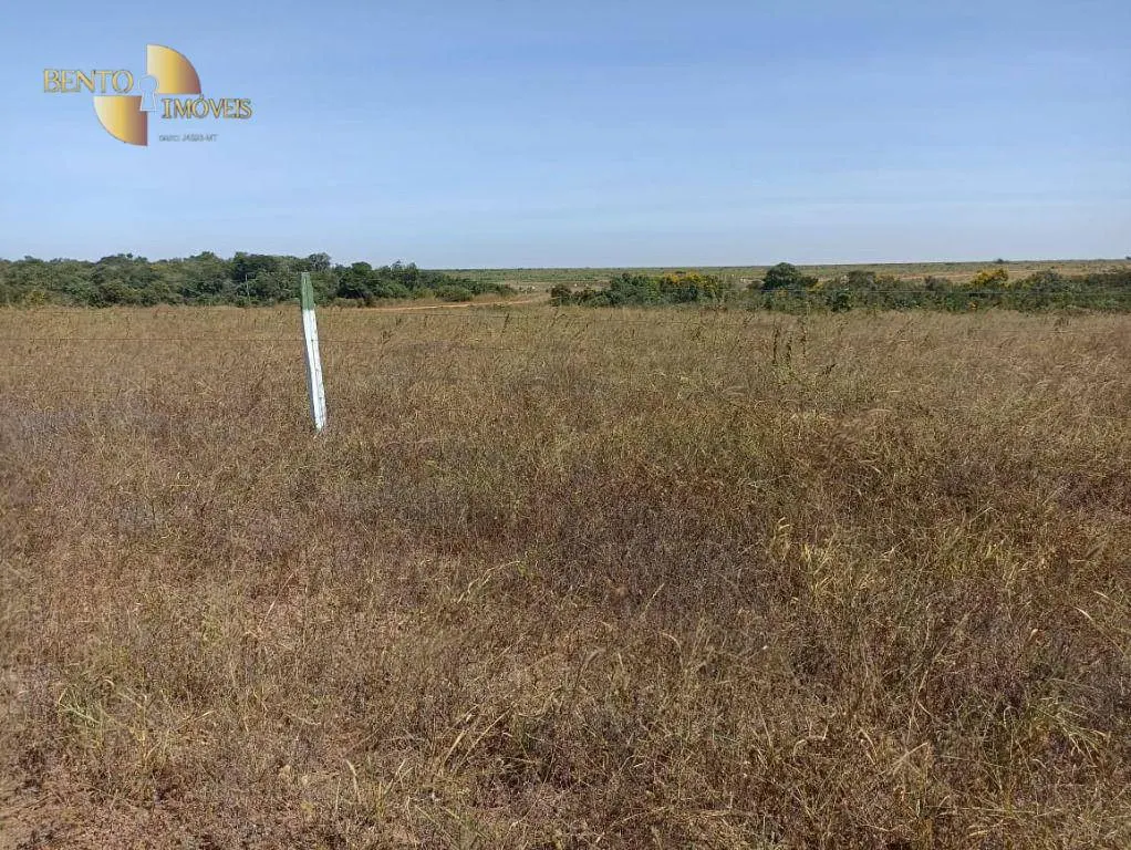 Fazenda à venda de 2.600 ha em Paranatinga, MT, Brasil