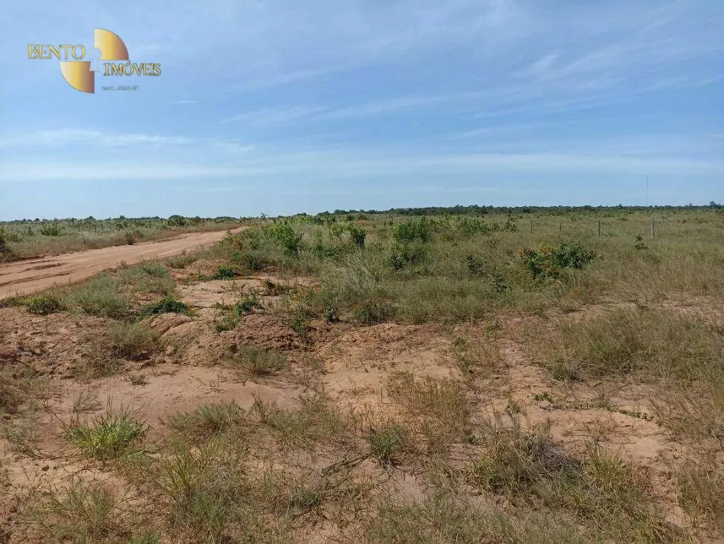 Fazenda à venda de 2.600 ha em Paranatinga, MT, Brasil