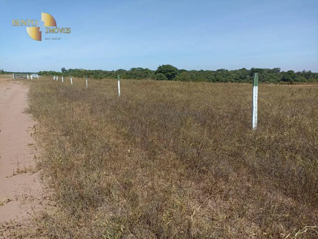 Fazenda à venda de 2.600 ha em Paranatinga, MT, Brasil