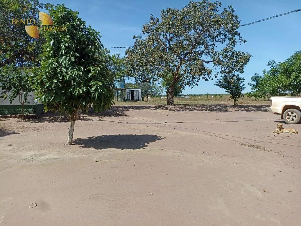 Fazenda à venda de 2.600 ha em Paranatinga, MT, Brasil