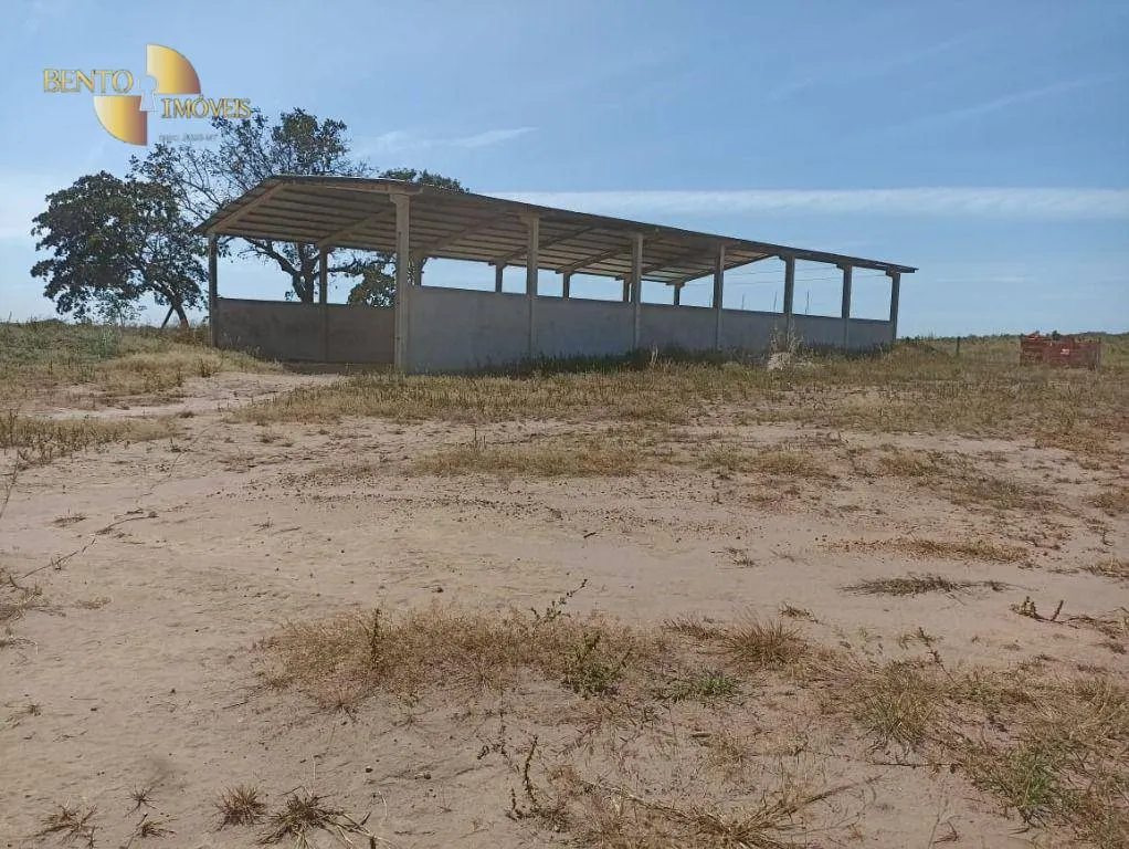 Fazenda à venda de 2.600 ha em Paranatinga, MT, Brasil