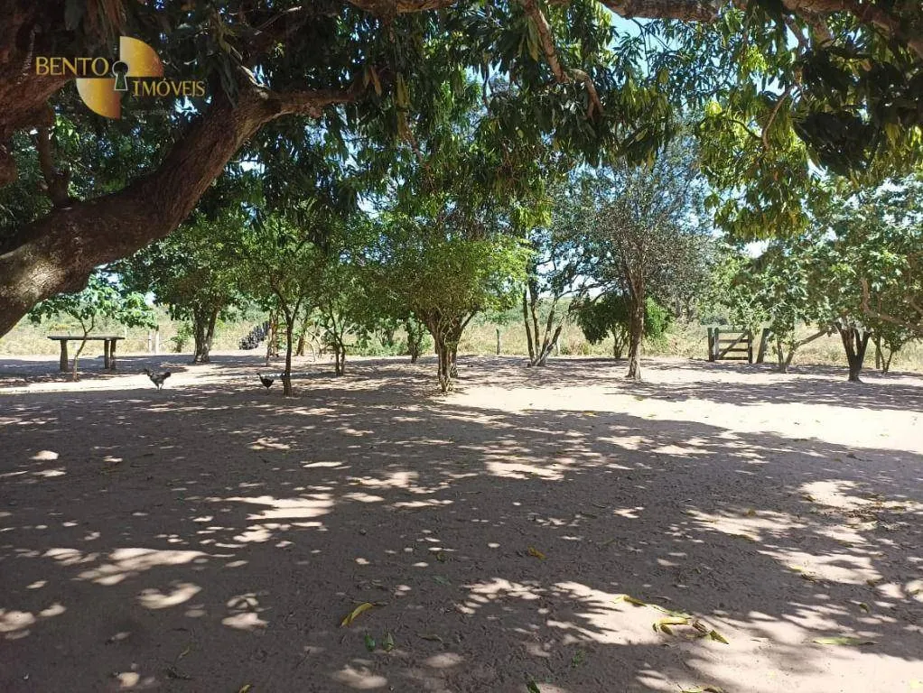 Fazenda à venda de 2.600 ha em Paranatinga, MT, Brasil
