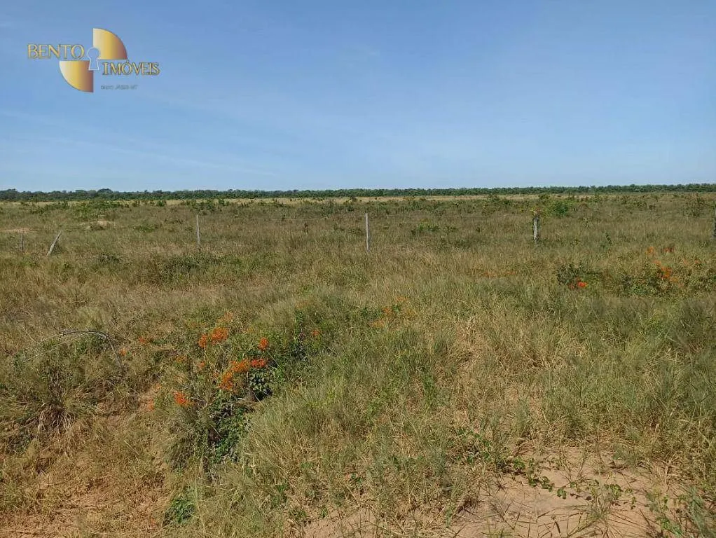 Fazenda à venda de 2.600 ha em Paranatinga, MT, Brasil