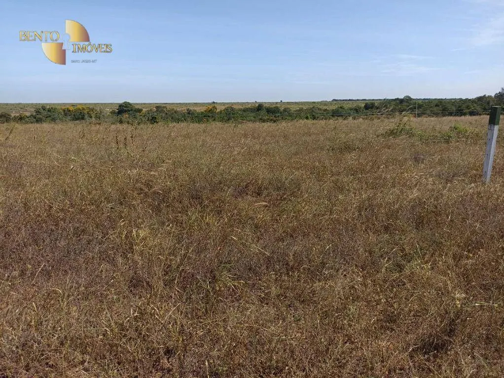 Fazenda à venda de 2.600 ha em Paranatinga, MT, Brasil