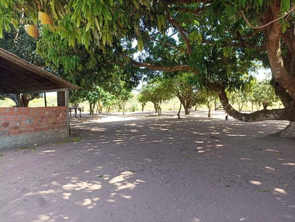 Fazenda à venda de 2.600 ha em Paranatinga, MT, Brasil