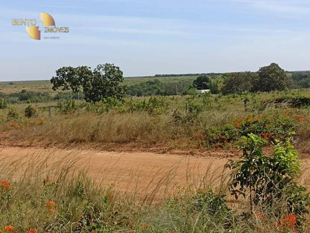 Fazenda à venda de 2.600 ha em Paranatinga, MT, Brasil