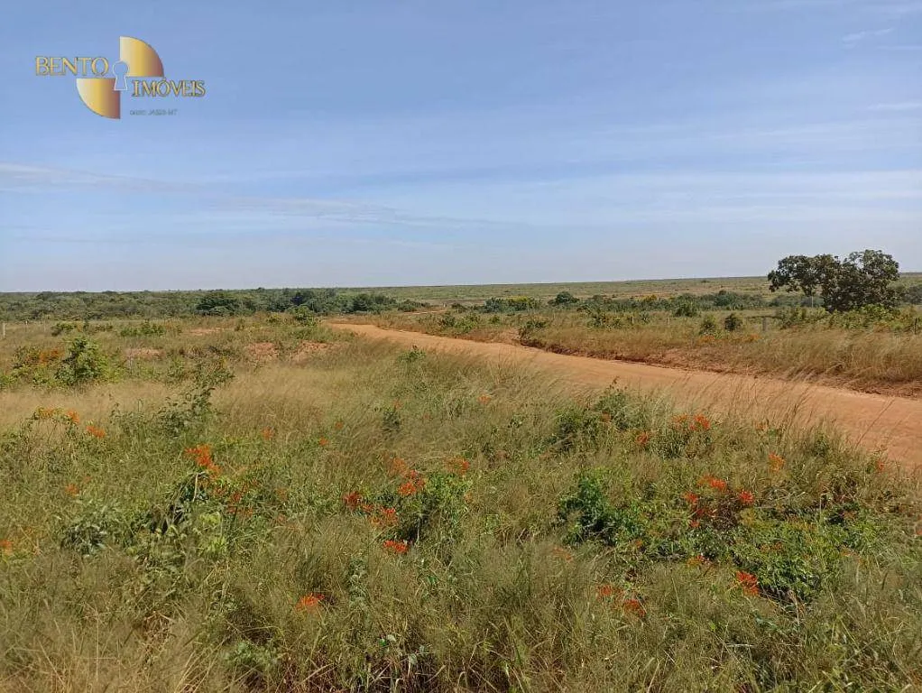 Fazenda à venda de 2.600 ha em Paranatinga, MT, Brasil