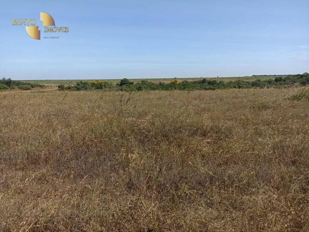 Fazenda à venda de 2.600 ha em Paranatinga, MT, Brasil
